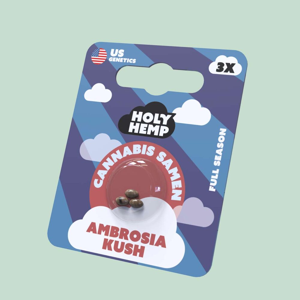 Ambrosia Kush Cannabissamen - HappyBuds
