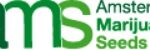 Amsterdam Marijuana Seeds - Logo