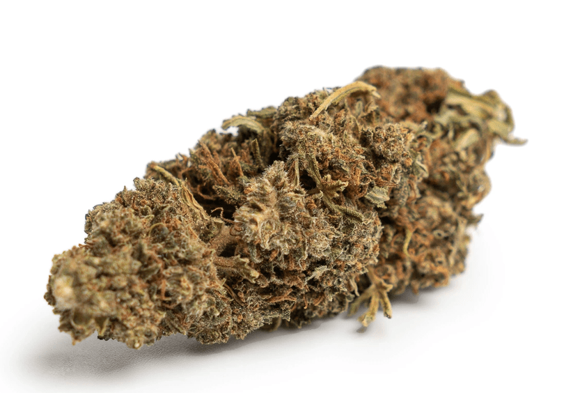 CBG Blüten 040 Special - CBD 040