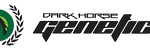 Darkhorse Genetics - Logo