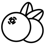 Heidelbeere