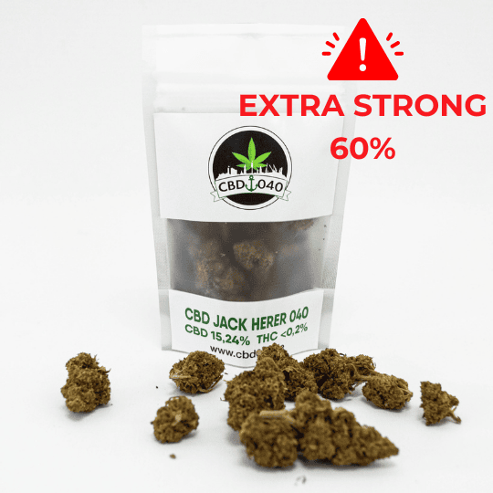 Jack Herer Extra Strong 60 - CBD Blüten - Indoor - CBD 040