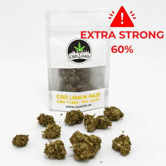 Lemon Haze Extra Strong 60 - CBD Blüten - Indoor - CBD 040