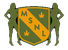 MSNL - Logo