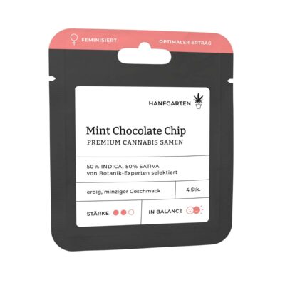 Mint Chocolate Chip - Feminisiert - Hanfgarten