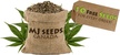MJ Seeds Canada - Logo