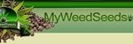MyWeedSeeds - Logo