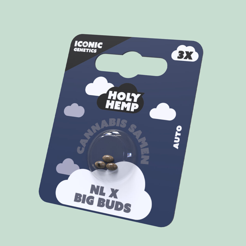 NL x Big Buds Cannabissamen - HappyBuds