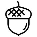 Nussig