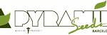 Pyramid Seeds - Logo