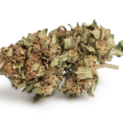 Reeperbahn Rose CBD Blüten Indoor - CBD 040