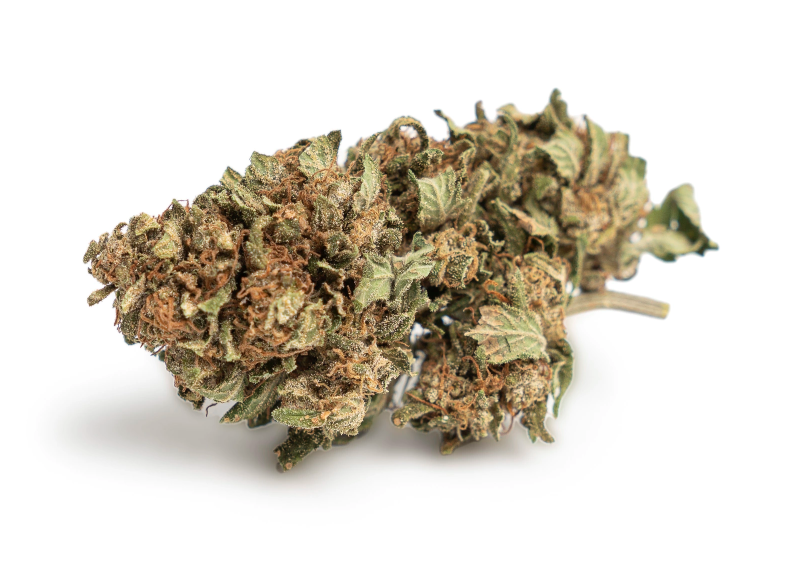 Reeperbahn Rose CBD Blüten Indoor - CBD 040