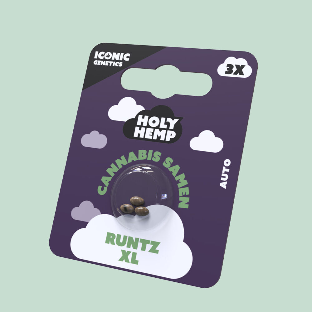 Runtz XL Cannabissamen - HappyBuds