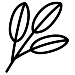 Salbei