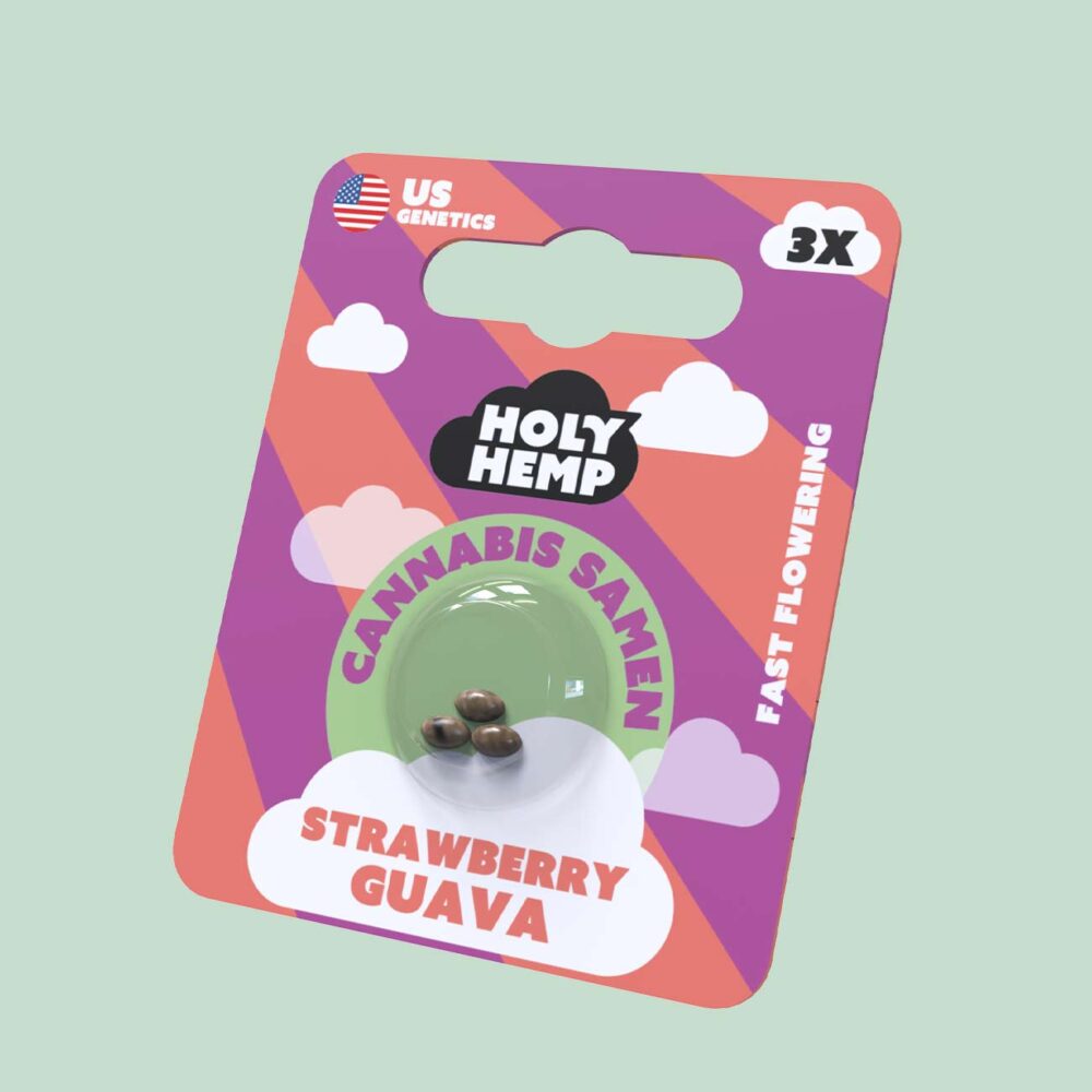 Strawberry Guava Cannabissamen - HappyBuds