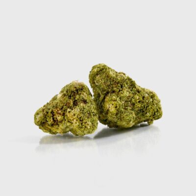 Tangie - POWER LVL 4-5 - Flower Power