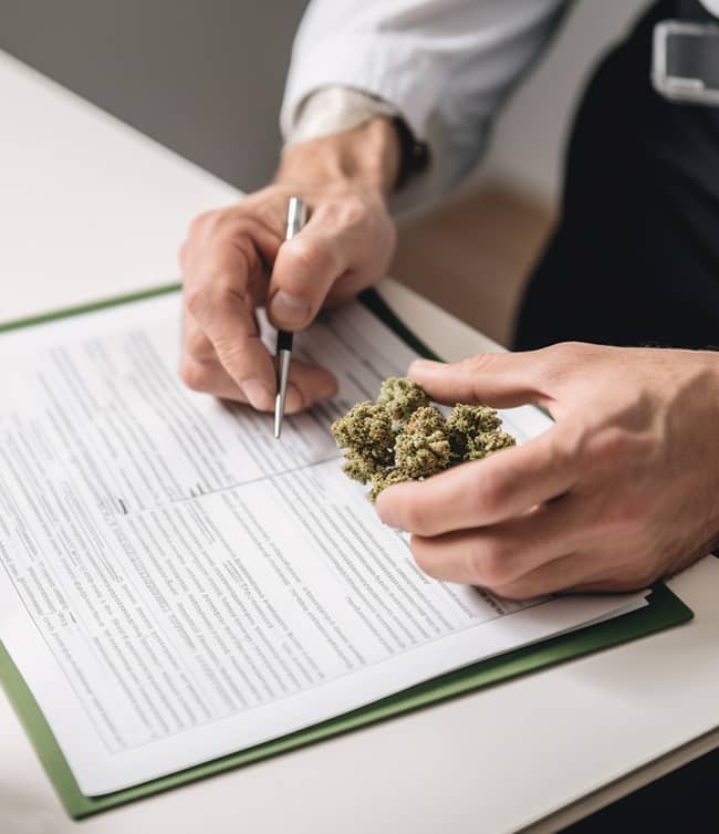 Was sind Cannabinoide? – Erklärung der chemischen Verbindungen und ihrer Wirkungen