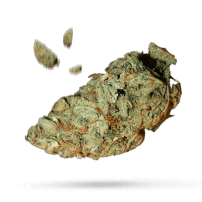 White Widow - Cannabissorte