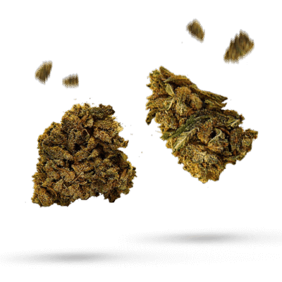 Banana Sundae - Cannabissorte