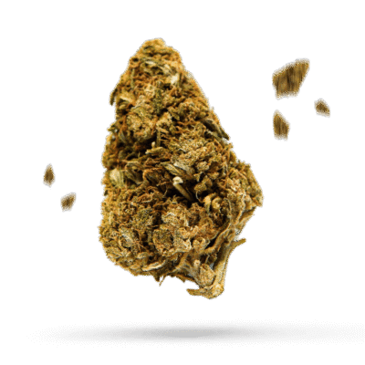 Bananium #2 - Cannabissorte