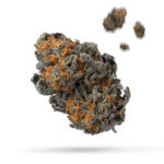 Barbara Bud - Cannabissorte