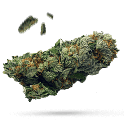 Bazooka Joe G - Cannabissorte