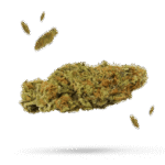 Beckwourth Bud - Cannabissorte