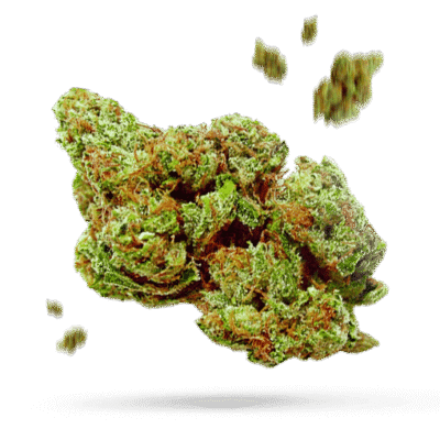 Bedford Glue - Cannabissorte