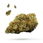 Berry OG - Cannabissorte