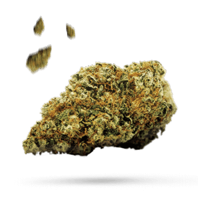 Berry OG - Cannabissorte