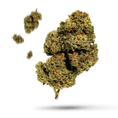 Berry Pie - Cannabissorte