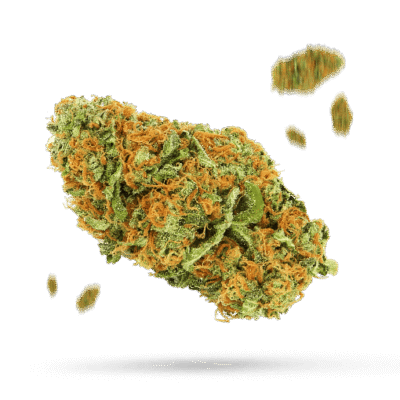 Blackberry Kush - Cannabissorte