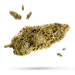 Blackberry OG CBD - Cannabissorte