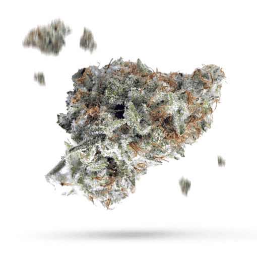 Blue Mystic - Cannabissorte