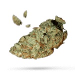 Blueberry Space Cake - Cannabissorte