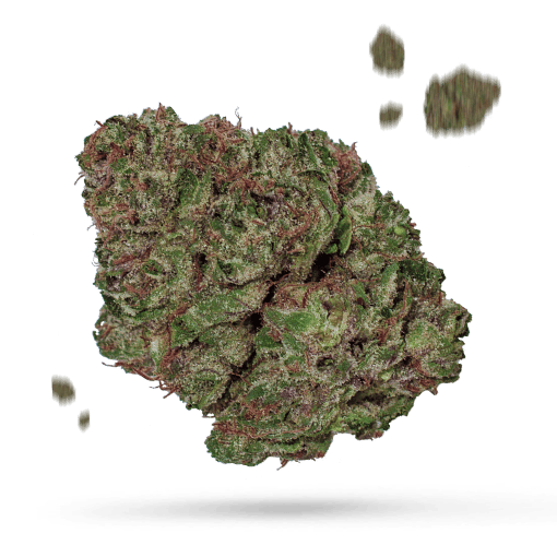 Brazil Amazonia - Cannabissorte