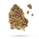 Bubble Mint - Cannabissorte