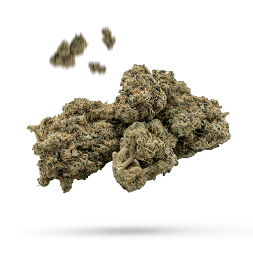 Butter OG - Cannabissorte