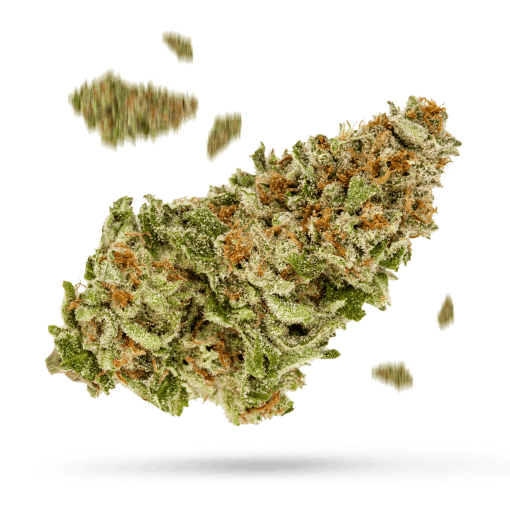 Cadillac Purple - Cannabissorte