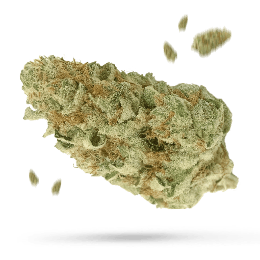 Caked Up Cherries - Cannabissorte