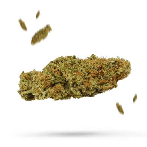 Candy Cream - Cannabissorte