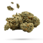 Candy Pie - Cannabissorte