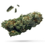 Candy Store - Cannabissorte