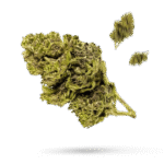 Canna-Wreck - Cannabissorte