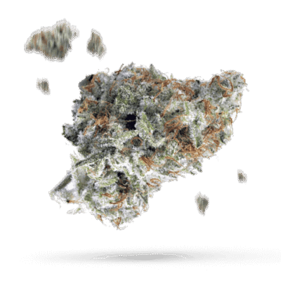 Cannalope Haze - Cannabissorte