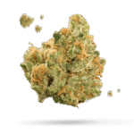 Cannalope Kush - Cannabissorte