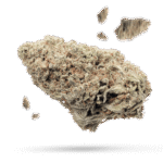 Cannatonic - Cannabissorte