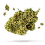 Cannon Beach Cookies - Cannabissorte
