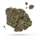 Cap Junky - Cannabissorte