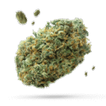 Captain America OG - Cannabissorte